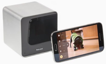 Capture the cutest moments of your dog's activities throughout the day with the PetCube.