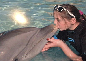 Swimming with the dolphins at the Comfort Suites, Paradise Island in the Bahamas