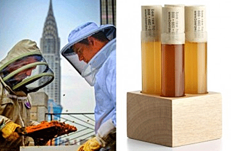 Bee Raw Honey